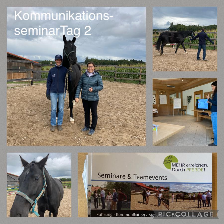 Kommunikationsseminar Tag 2