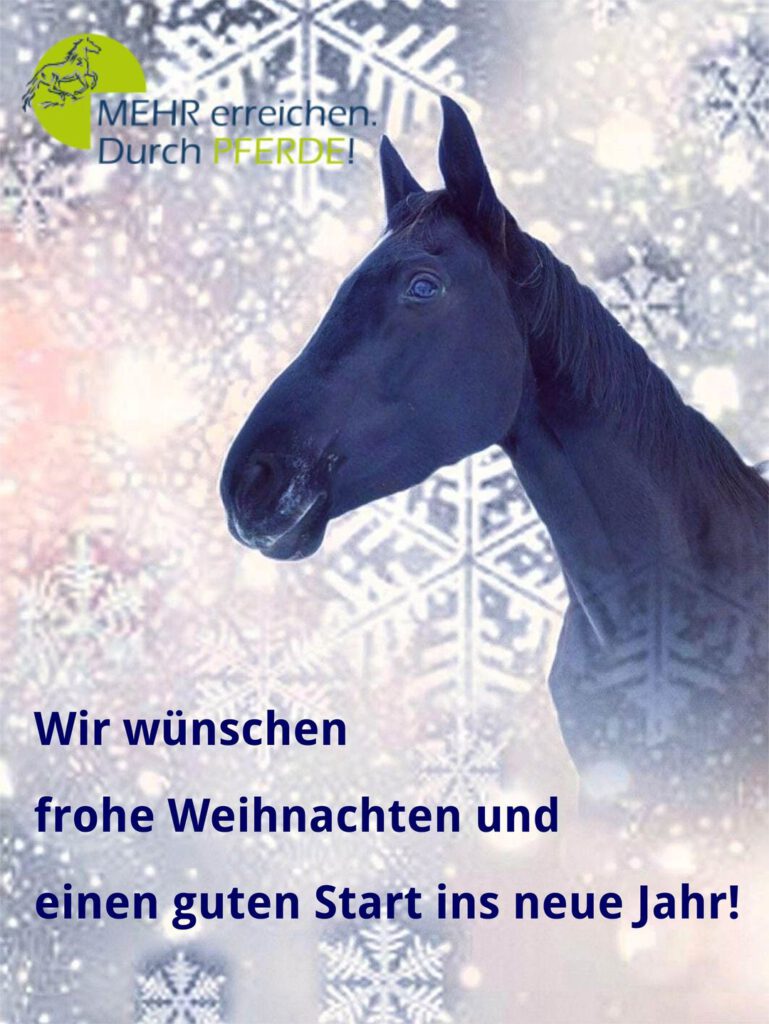 Weihnachtsgruß 2021 MEHR erreichen. Durch PFERDE!