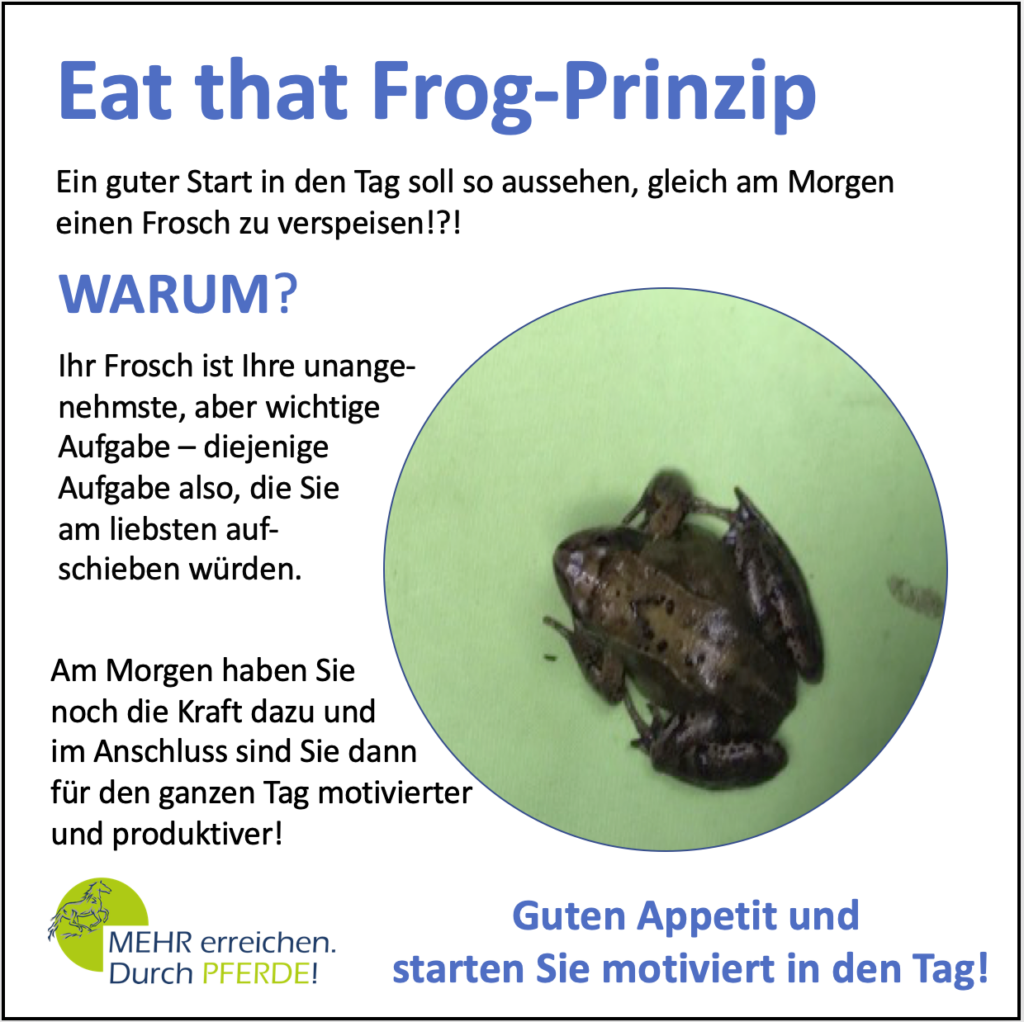 Mehr_erreichen_durch_Pferde_eat_that_frog