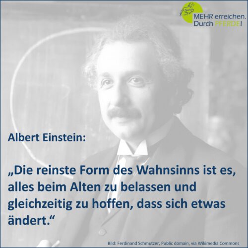 Zitat Albert Einstein