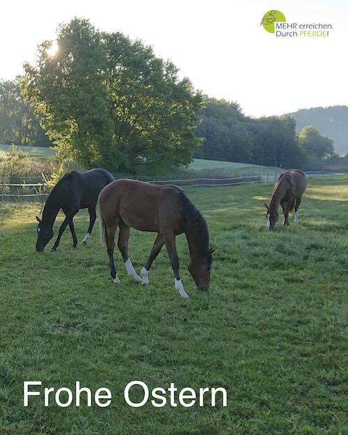 Ostergrüße MEHR erreichen. Durch PFERDE!