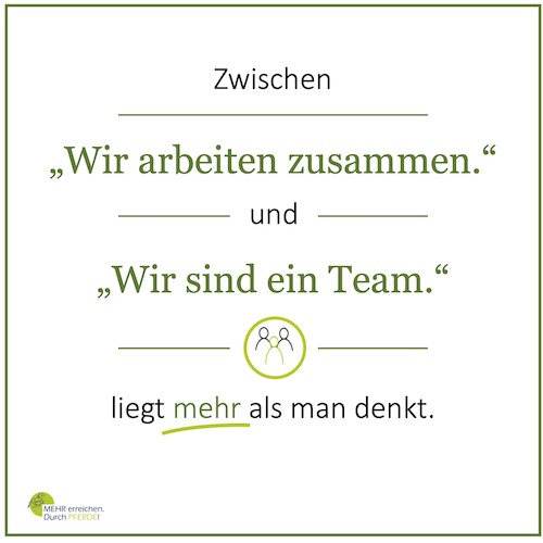 Echtes Team