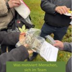 Was motiviert Menschen im Team?