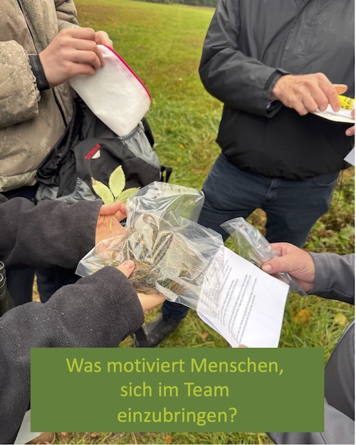 Was motiviert Menschen im Team?