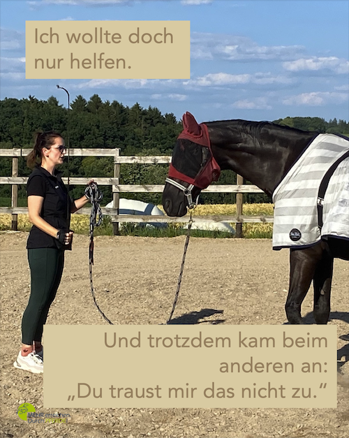 Aneinander vorbeikommunizieren – ich wollte doch nur helfen